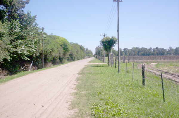 Alquiler campos para cultivo en zona norte Escobar zz