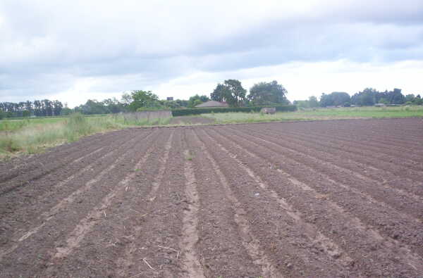 Alquiler campos para cultivo en zona norte Escobar zzx